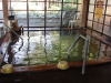 行田･湯本天然温泉 茂美の湯